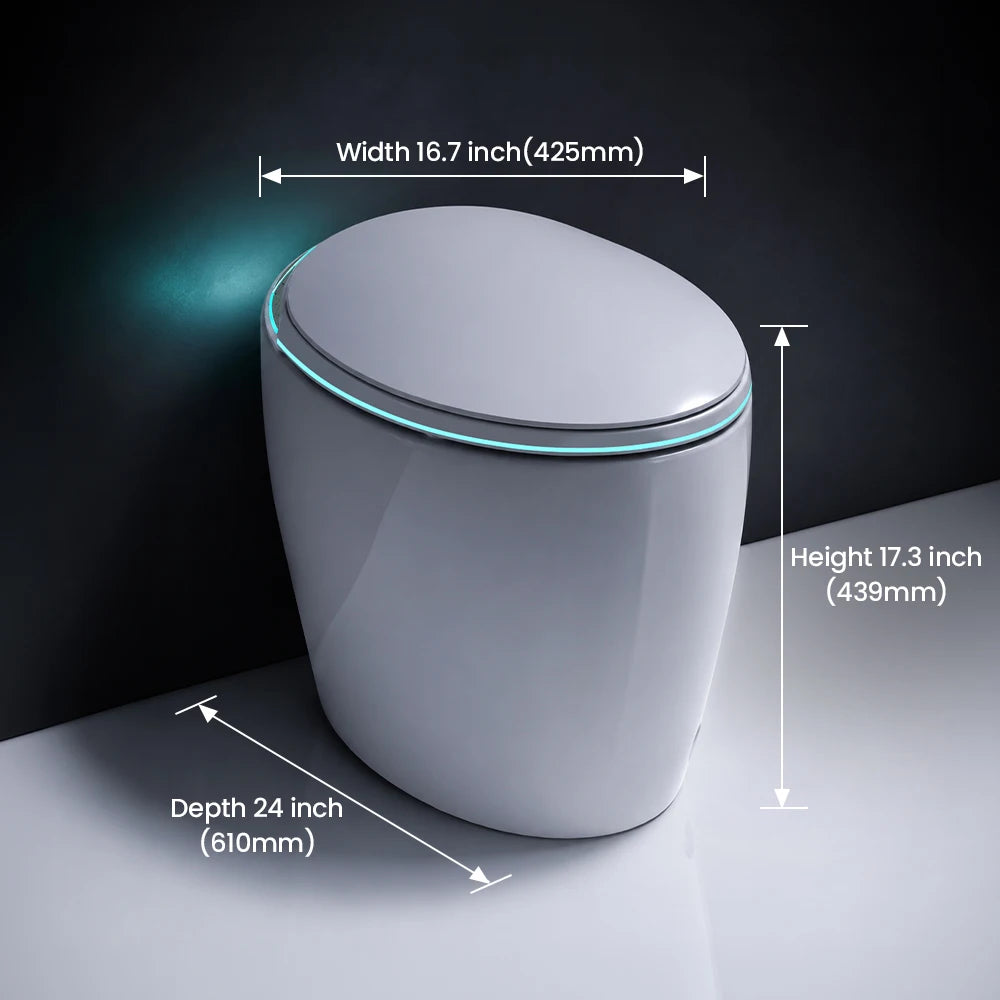 Sanyipace Smart Bidet Toilet Seat With Heat And Auto Flush